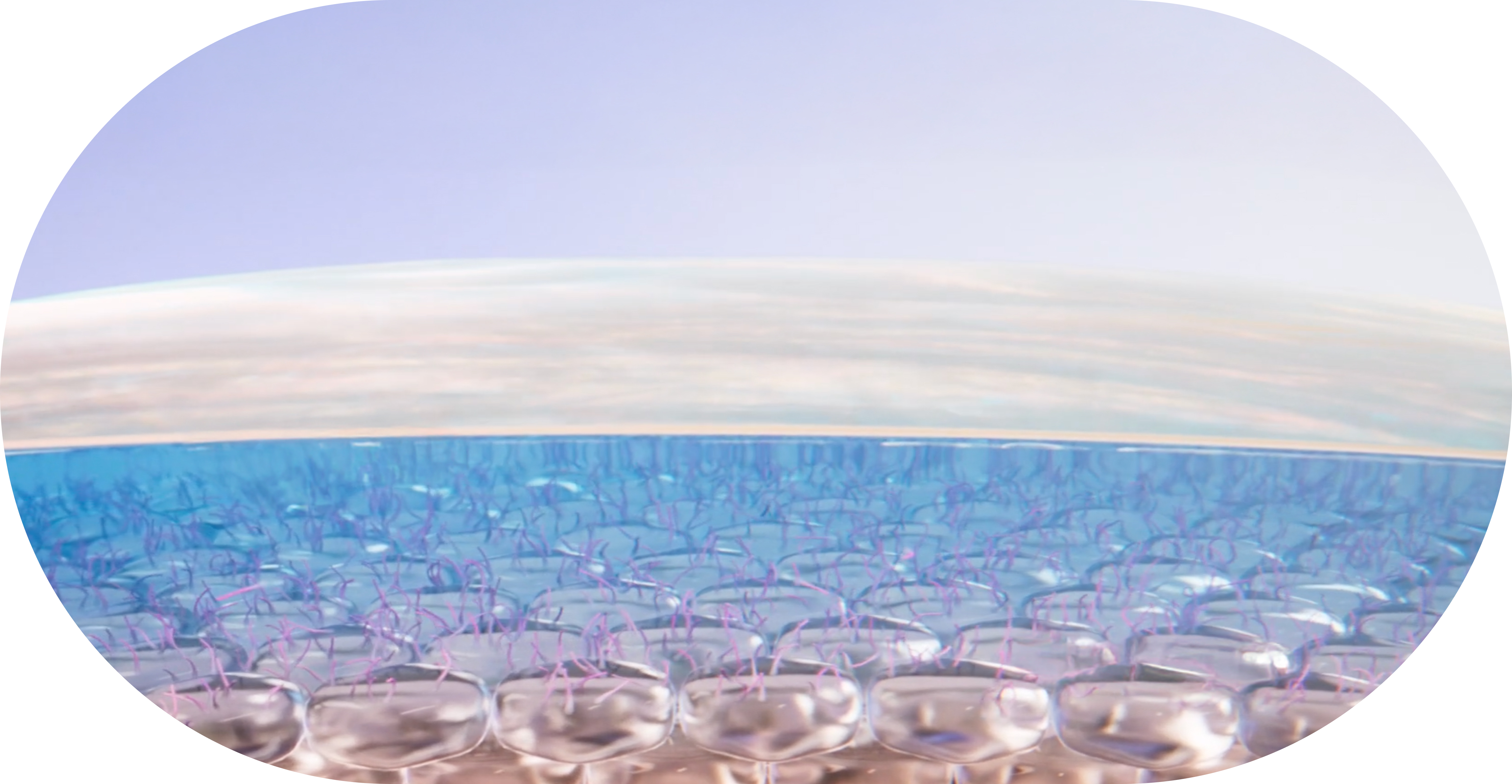 Extreme close up of a healthy eye