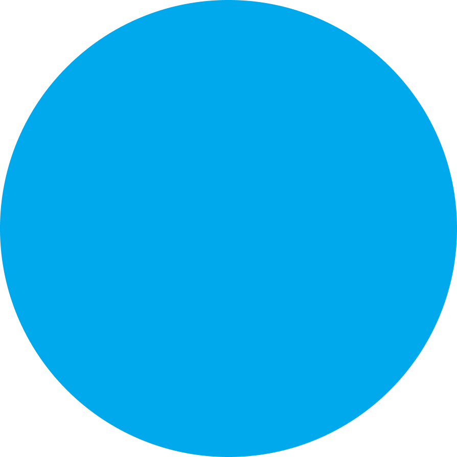 Blue circle icon